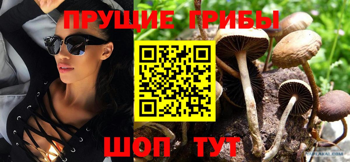 Галлюциногенные грибы ЛСД Ессентуки